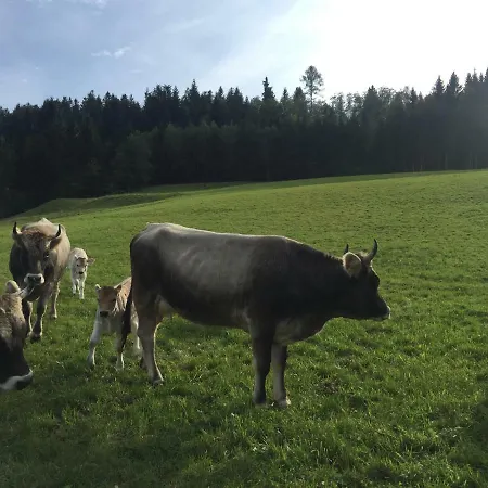 Poschenhof, Untere Sonnleiten